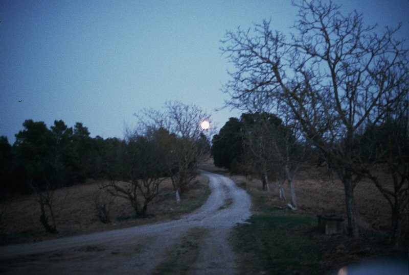 Durant la nit, camí fins la carretera